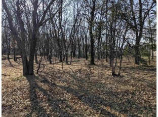 LOT 11 13th Ln Friendship, WI 53934