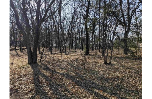 LOT 11 13th Ln, Friendship, WI 53934