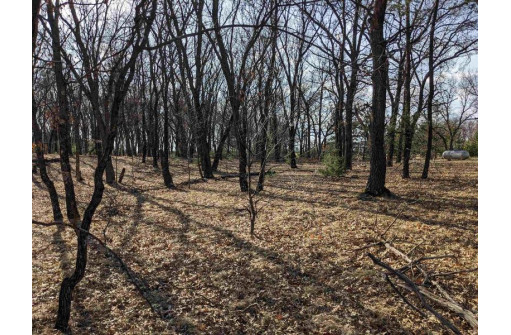 LOT 11 13th Ln, Friendship, WI 53934