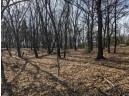 LOT 11 13th Ln, Friendship, WI 53934