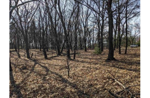 LOT 11 13th Ln, Friendship, WI 53934