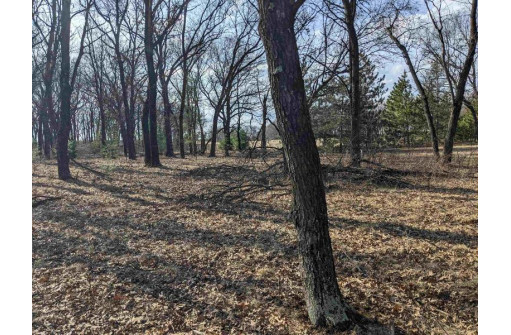 LOT 11 13th Ln, Friendship, WI 53934