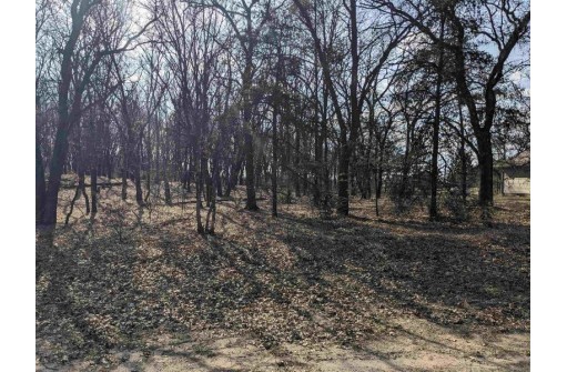 LOT 11 13th Ln, Friendship, WI 53934