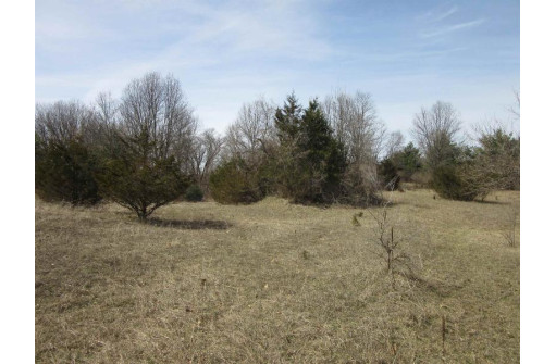 9.85AC Freedom Ln, Wisconsin Dells, WI 53965