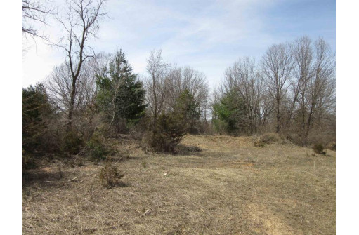 9.85AC Freedom Ln, Wisconsin Dells, WI 53965