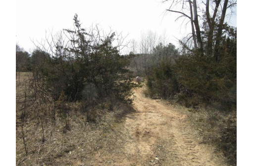 9.85AC Freedom Ln, Wisconsin Dells, WI 53965