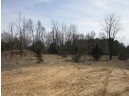 9.85AC Freedom Ln, Wisconsin Dells, WI 53965