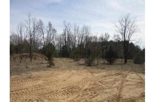 9.85AC Freedom Ln, Wisconsin Dells, WI 53965