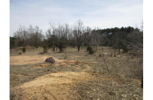 9.85AC Freedom Ln, Wisconsin Dells, WI 53965