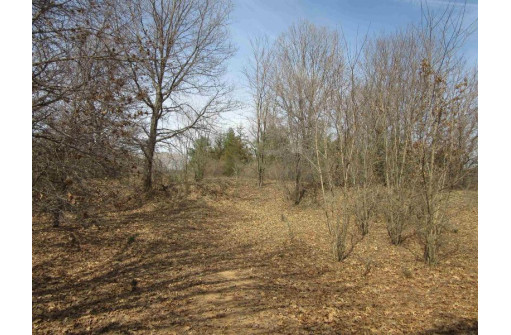 9.85AC Freedom Ln, Wisconsin Dells, WI 53965