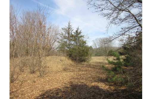 9.85AC Freedom Ln, Wisconsin Dells, WI 53965