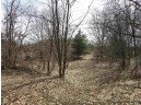 9.85AC Freedom Ln, Wisconsin Dells, WI 53965