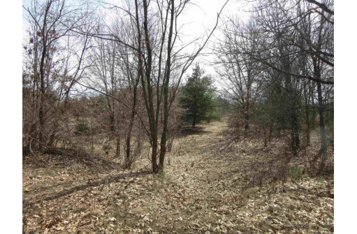 9.85AC Freedom Ln, Wisconsin Dells, WI 53965