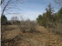 9.85AC Freedom Ln, Wisconsin Dells, WI 53965