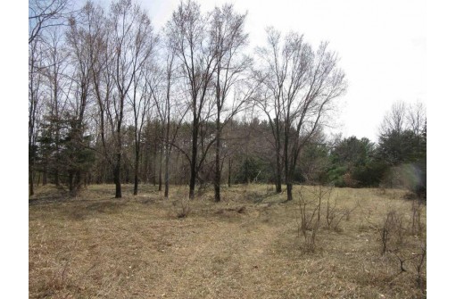 9.85AC Freedom Ln, Wisconsin Dells, WI 53965