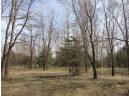 9.85AC Freedom Ln, Wisconsin Dells, WI 53965