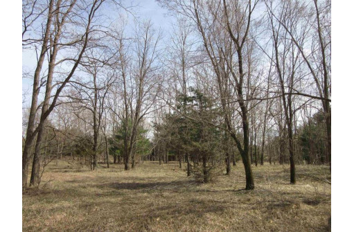 9.85AC Freedom Ln, Wisconsin Dells, WI 53965