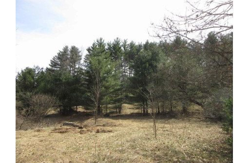 9.85AC Freedom Ln, Wisconsin Dells, WI 53965