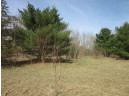 9.85AC Freedom Ln, Wisconsin Dells, WI 53965