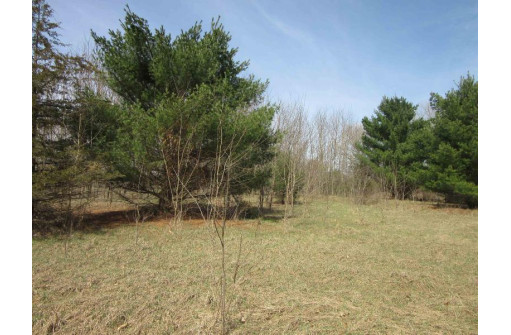 9.85AC Freedom Ln, Wisconsin Dells, WI 53965