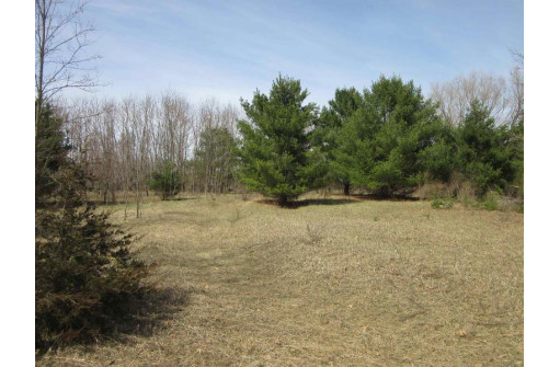 9.85AC Freedom Ln, Wisconsin Dells, WI 53965