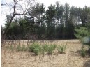 9.85AC Freedom Ln, Wisconsin Dells, WI 53965