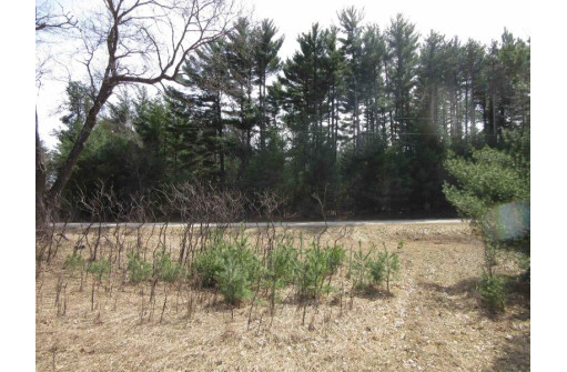 9.85AC Freedom Ln, Wisconsin Dells, WI 53965