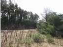 9.85AC Freedom Ln, Wisconsin Dells, WI 53965