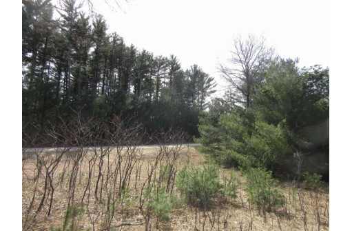 9.85AC Freedom Ln, Wisconsin Dells, WI 53965