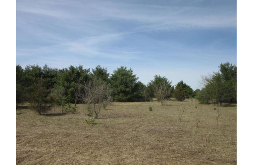 9.46AC Freedom Ln, Wisconsin Dells, WI 53965