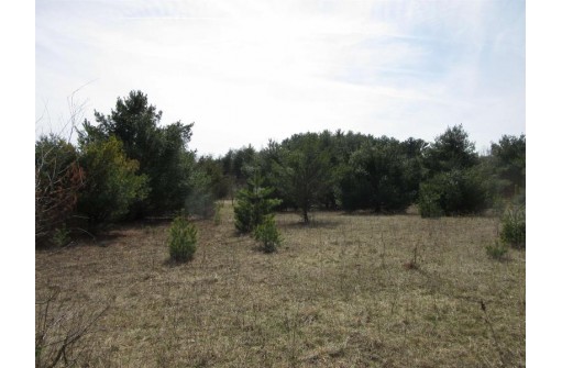 9.46AC Freedom Ln, Wisconsin Dells, WI 53965