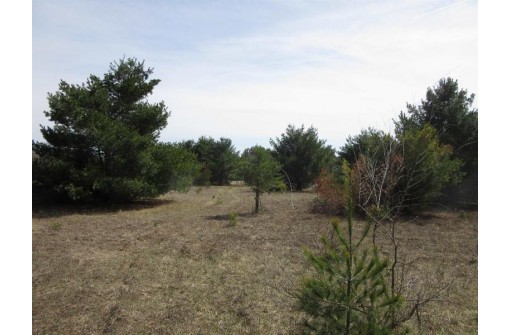 9.46AC Freedom Ln, Wisconsin Dells, WI 53965