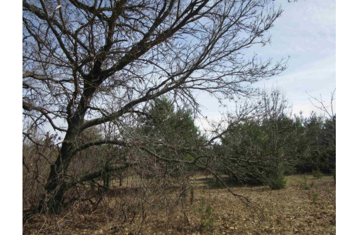 9.46AC Freedom Ln, Wisconsin Dells, WI 53965