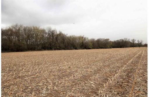 13.71 ACRES Railroad St, Rio, WI 53960