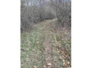 13.71 ACRES Railroad St, Rio, WI 53960