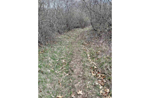 13.71 ACRES Railroad St, Rio, WI 53960