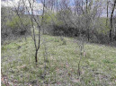 13.71 ACRES Railroad St, Rio, WI 53960