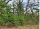6.6 AC 1st Dr Coloma, WI 54930