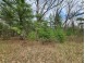 6.6 AC 1st Dr Coloma, WI 54930