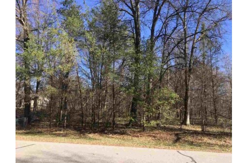 LOT 36 Half Moon Bay Dr, New Lisbon, WI 53950