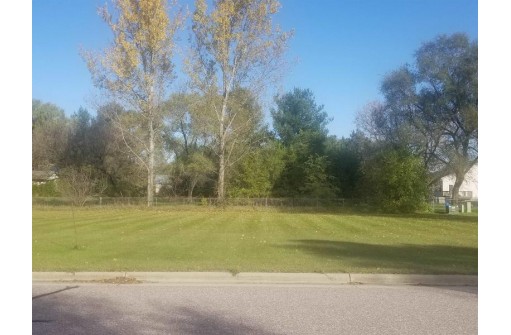 LOT Meadow St, Arena, WI 53503