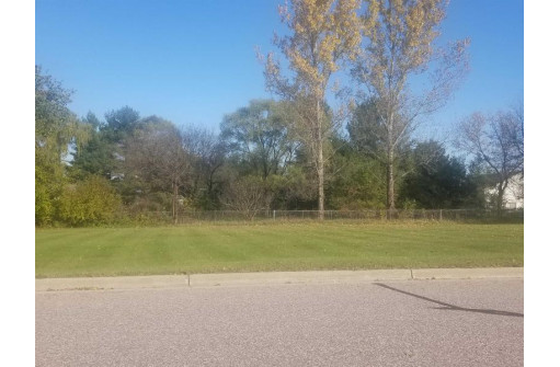 LOT Meadow St, Arena, WI 53503