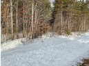 LOT 63 Yellow Banks Trail, Nekoosa, WI 54457