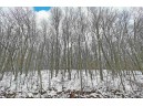 75.35 ACRES Henderson Rd, Wonewoc, WI 53968