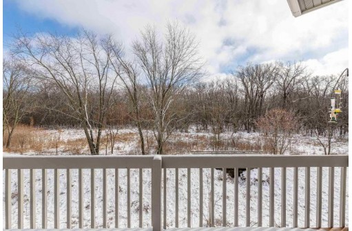 3225 Conservancy Ln, Middleton, WI 53562