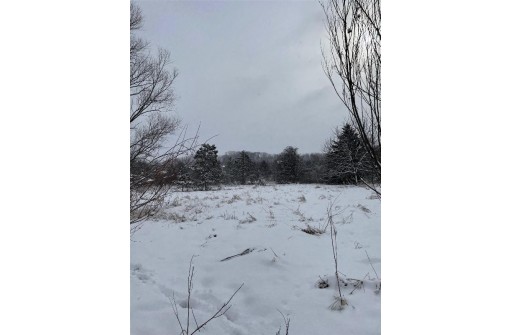 LOT 30 Lakeview Dr, Packwaukee, WI 53953