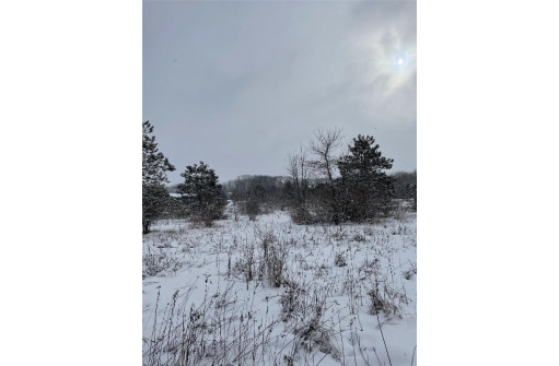 LOT 30 Lakeview Dr, Packwaukee, WI 53953