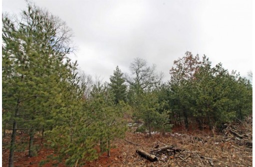 LOT18 Timber Trail, Spring Green, WI 53503