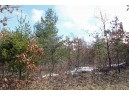 LOT18 Timber Trail, Spring Green, WI 53503