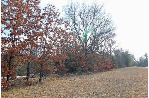 LOT18 Timber Trail, Spring Green, WI 53503